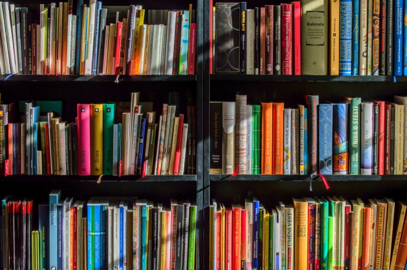boutique-VILLARS SUR VAR-min_books_bookstore_book_reading_shop_writer_sale_books_read-822866