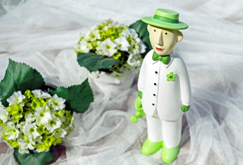 boutique-VILLARS SUR VAR-min_man-person-flower-green-toy-fig-546529-pxhere.com